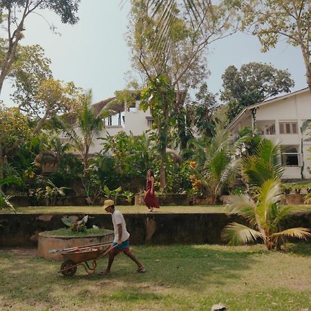 Kirinuga Boutique Retreat Hotel Tangalle Ngoại thất bức ảnh