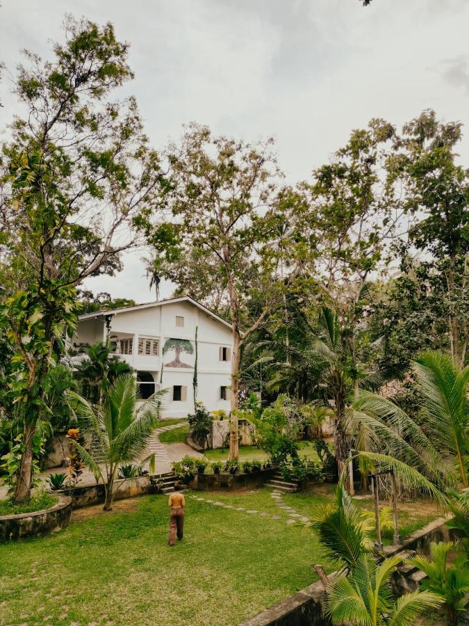 Kirinuga Boutique Retreat Hotel Tangalle Ngoại thất bức ảnh