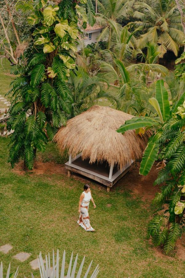 Kirinuga Boutique Retreat Hotel Tangalle Ngoại thất bức ảnh